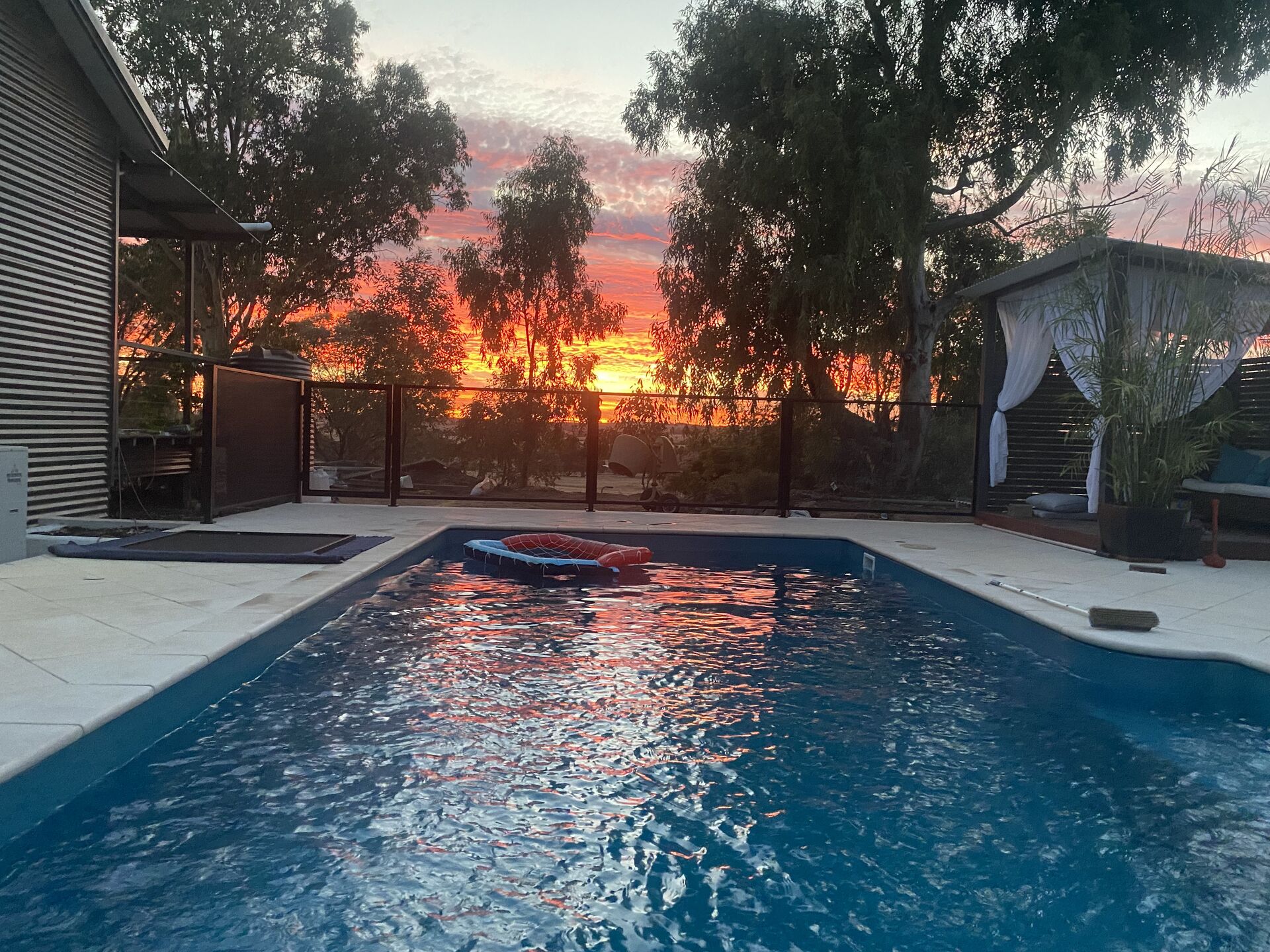 Pure Perf pool fencing in Textured Black around a backyard pool at sunset, WA