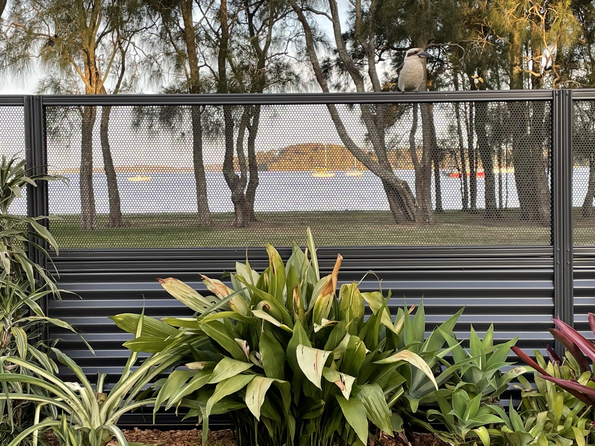 Textured Monument pool fencing, Tanilba Bay NSW
